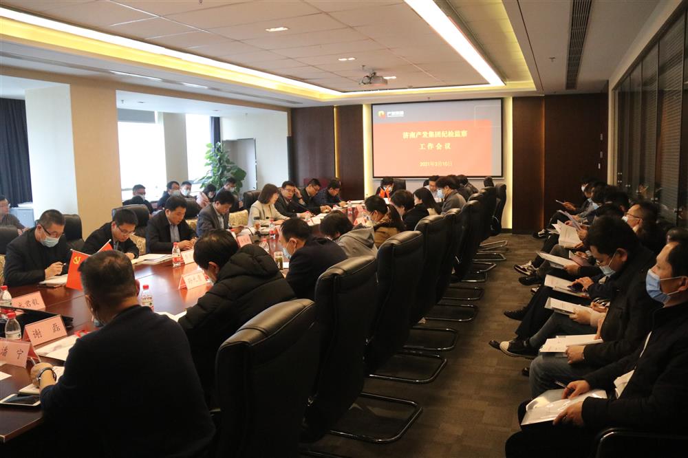 开云官方体育app官网召开年度纪检监察工作会议