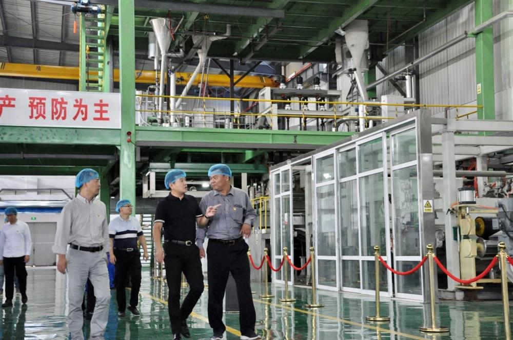 开云官方体育app官网纪委书记卢刚赴齐鲁化纤集团商河工业园调研